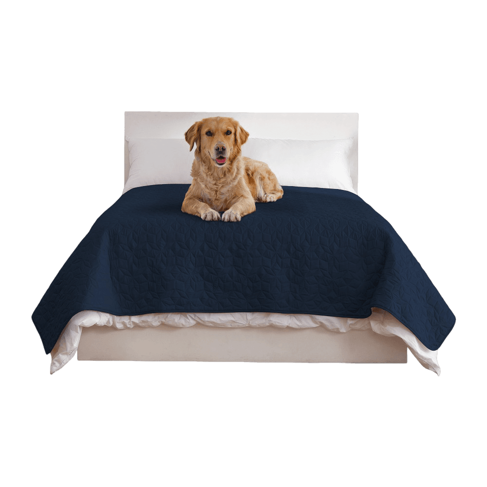 Charlies Sofur Waterproof Dog Bed Cover Protector Midnight Blue