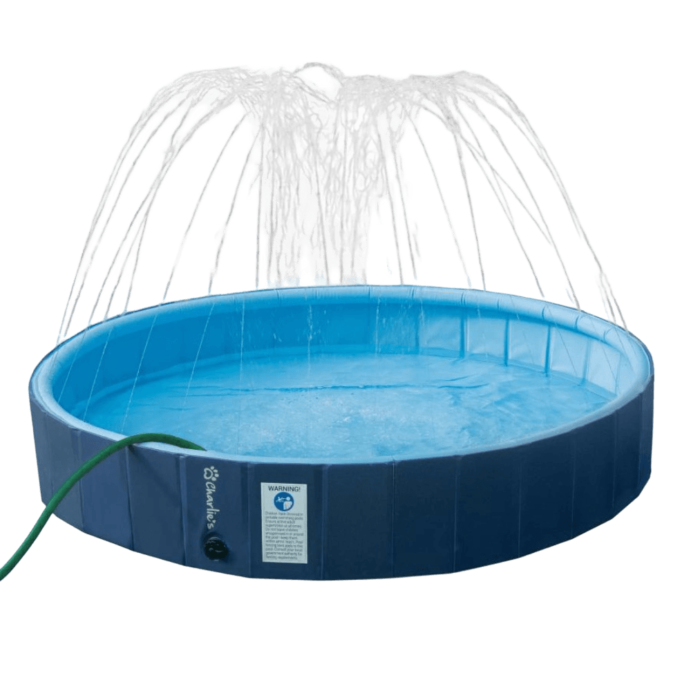Charlies Splash Society Sprinkler Dog Pool