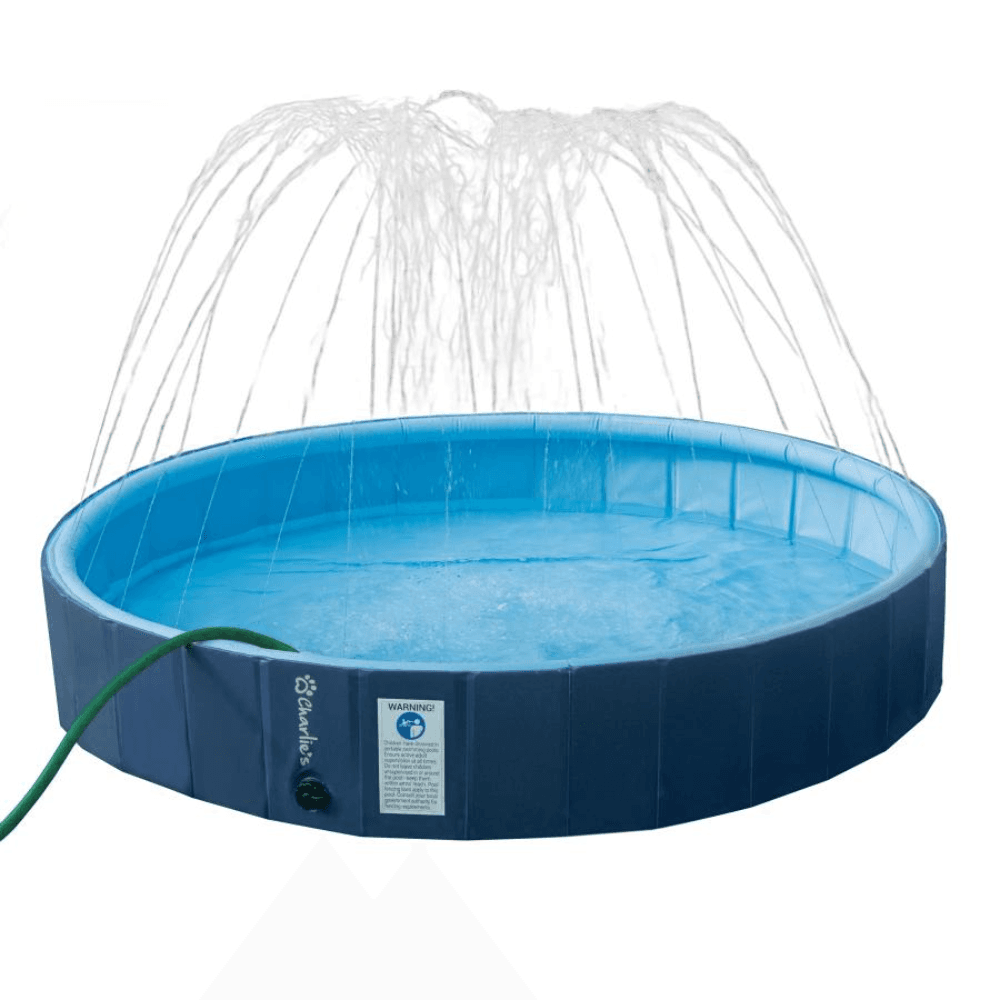 Splash Society Sprinkler Dog Pool