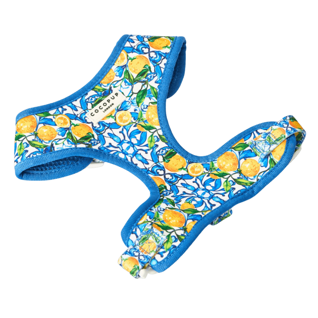 cocopup-london-adjustable-neck-dog-harness-amalfi-lemons