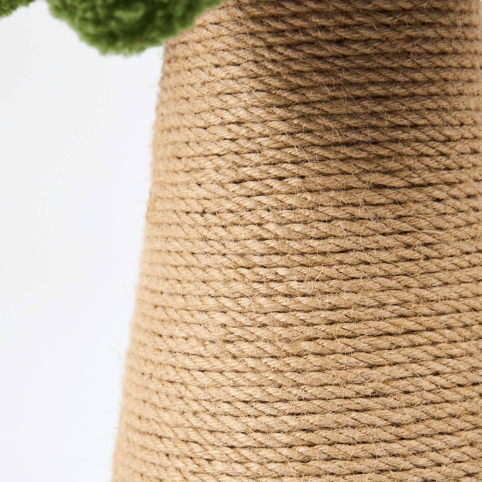 The Catsentials Palm Tree Cat Scratcher