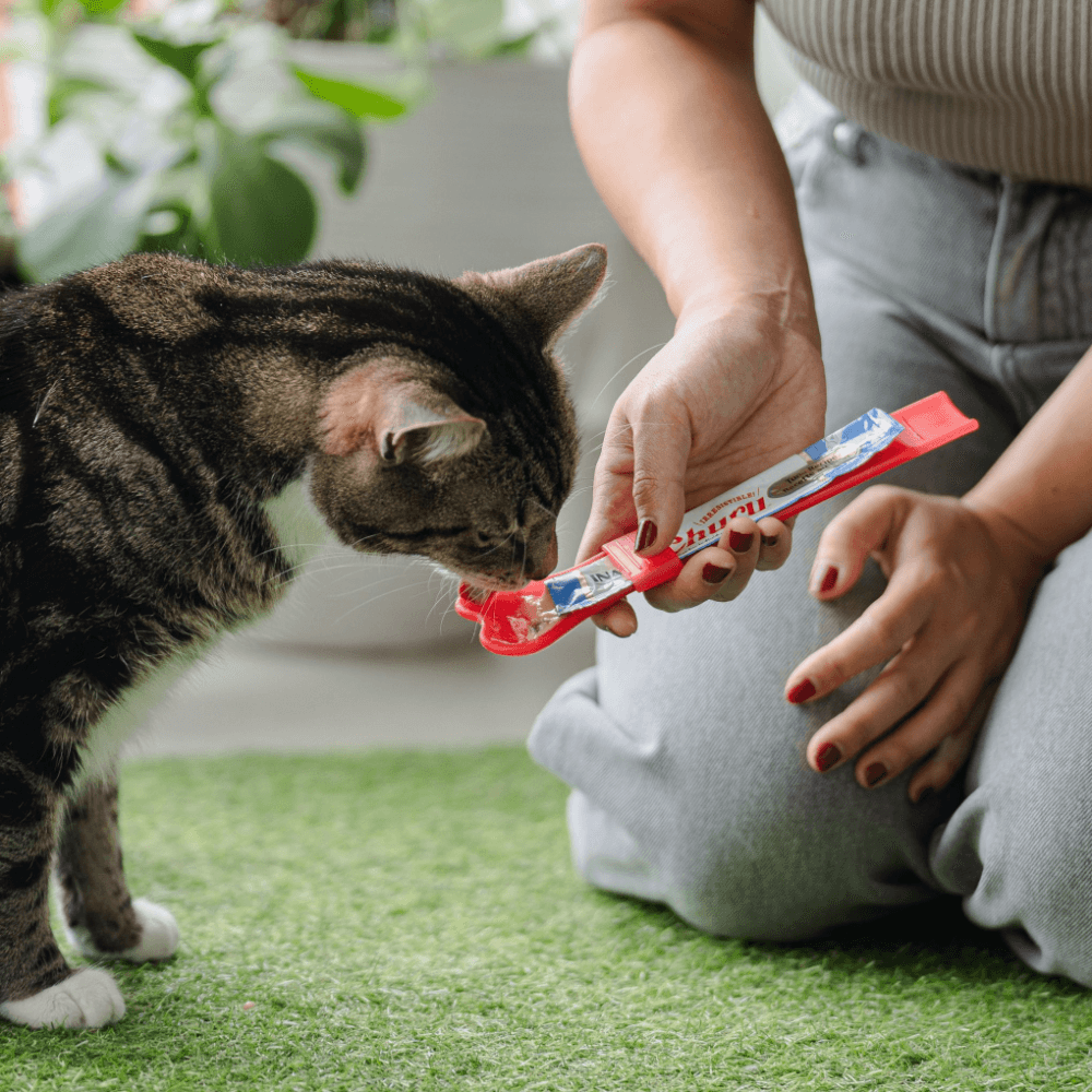 Inaba Churu Holiday Pack Lickable Cat Treats Plus Spoon