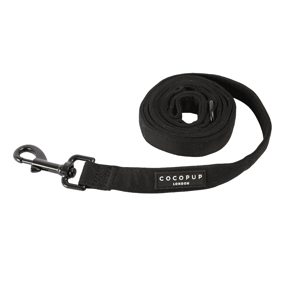 cocopup-london-dog-lead-black-aviator