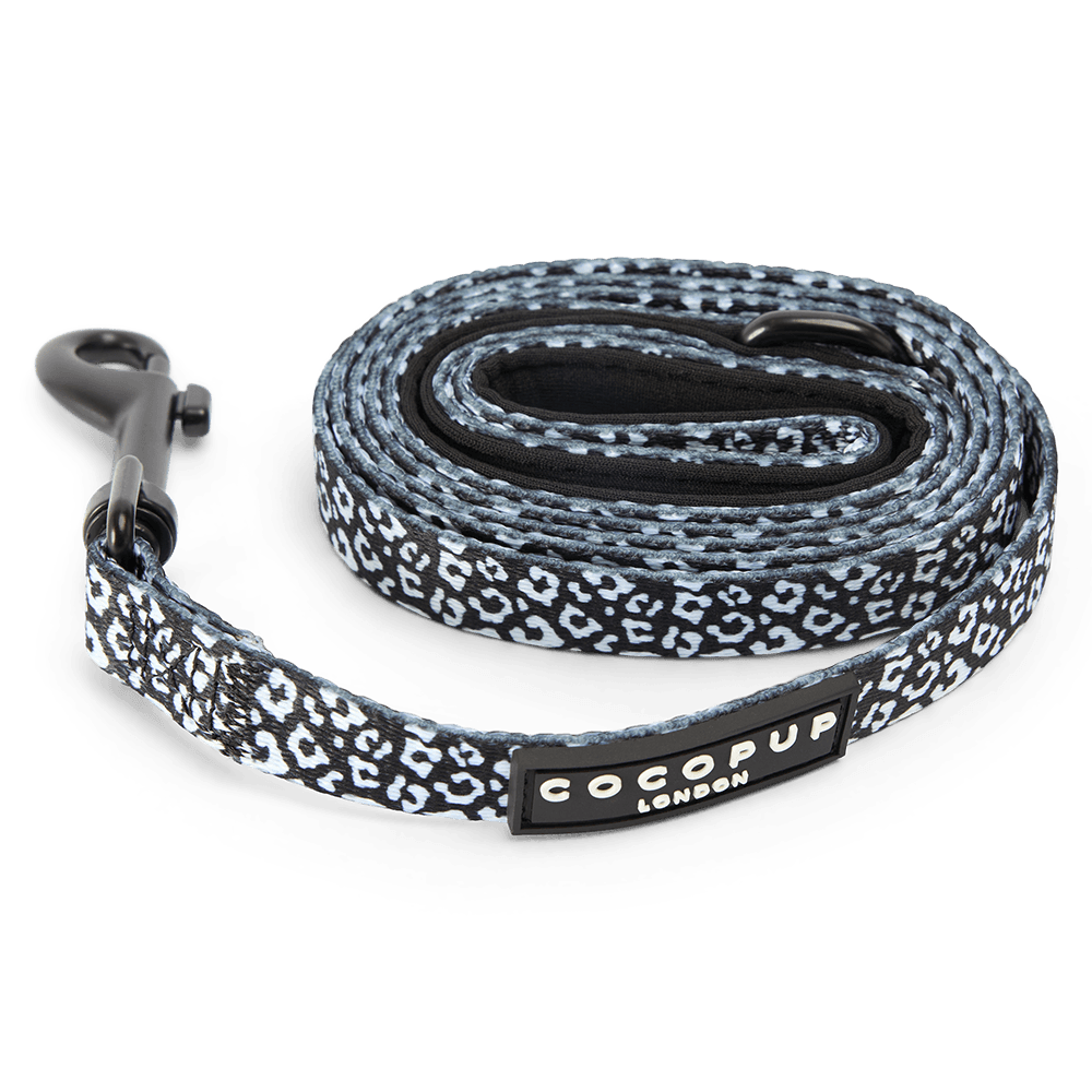 cocopup-london-puppy-lead-black-leopard