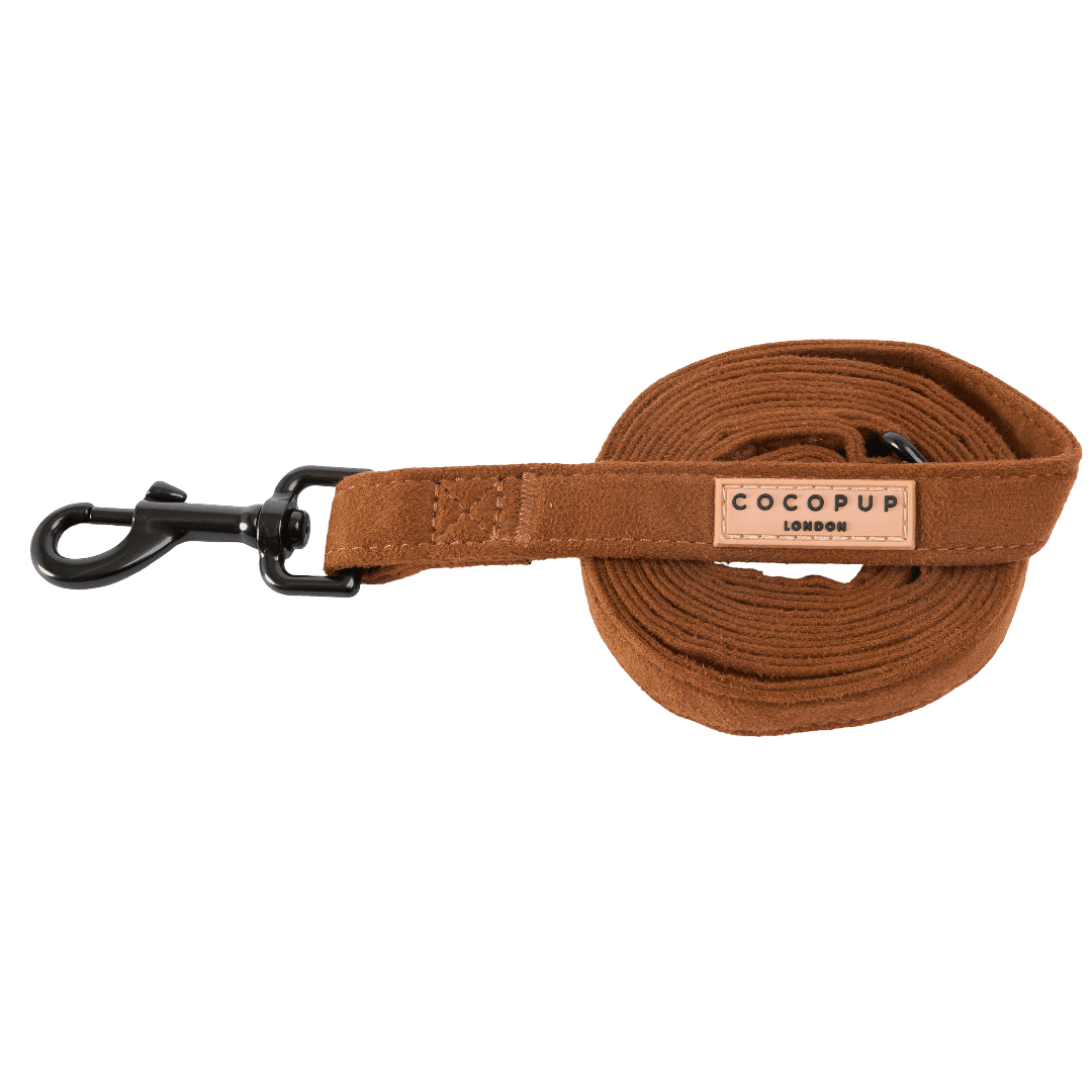 cocopup-london-dog-lead-brown-aviator