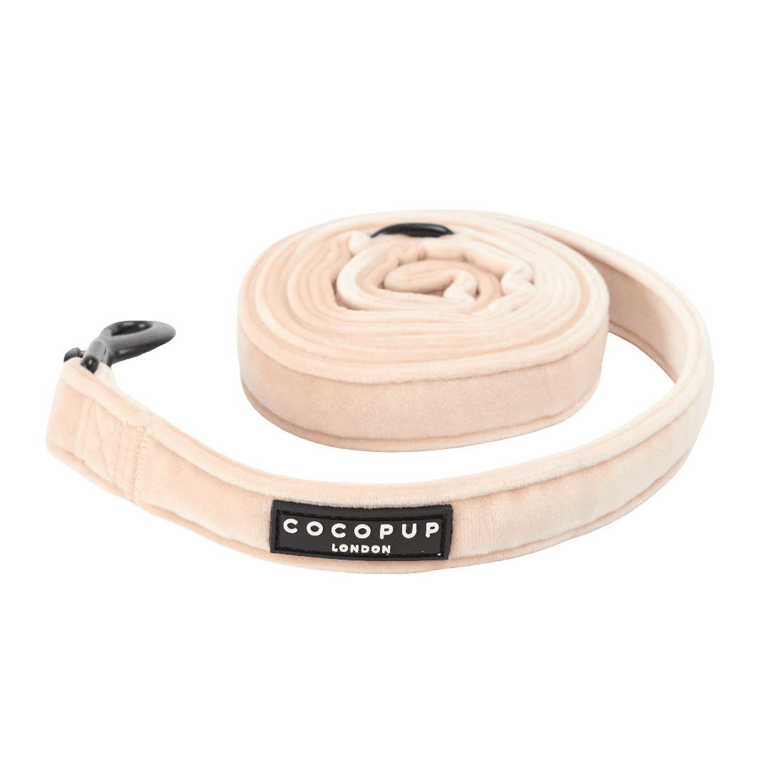 cocopup-london-dog-lead-champagne-velvet
