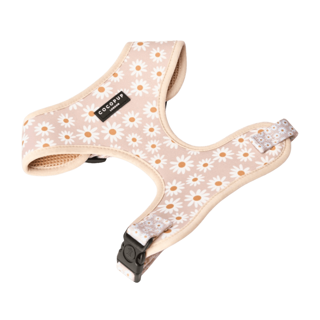 cocopup-london-adjustable-neck-dog-harness-daisy-chain