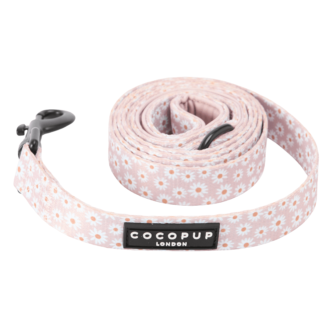 cocopup-london-dog-lead-daisy-chain