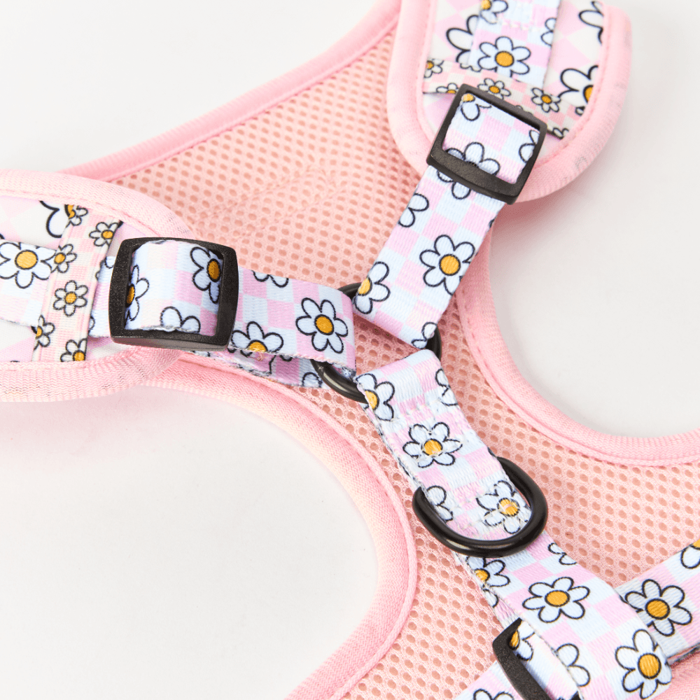 Cocopup London Adjustable Neck Dog Harness in Daisy Gingham Pink