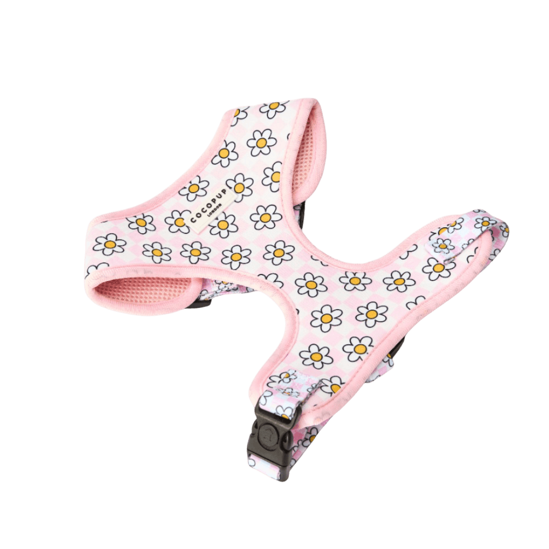 Dog Harness in Daisy Gingham Pink