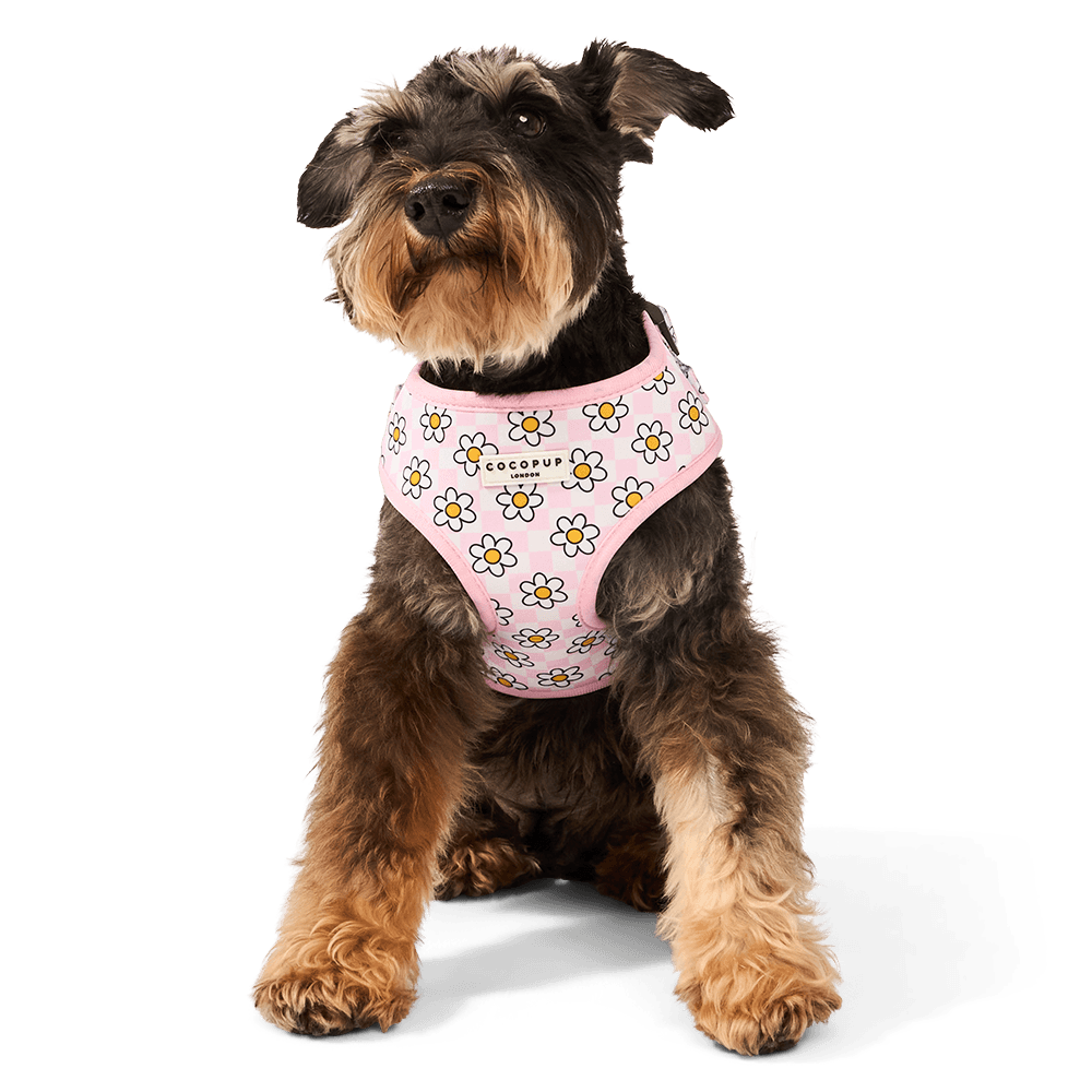 Cocopup London Adjustable Neck Dog Harness in Daisy Gingham Pink