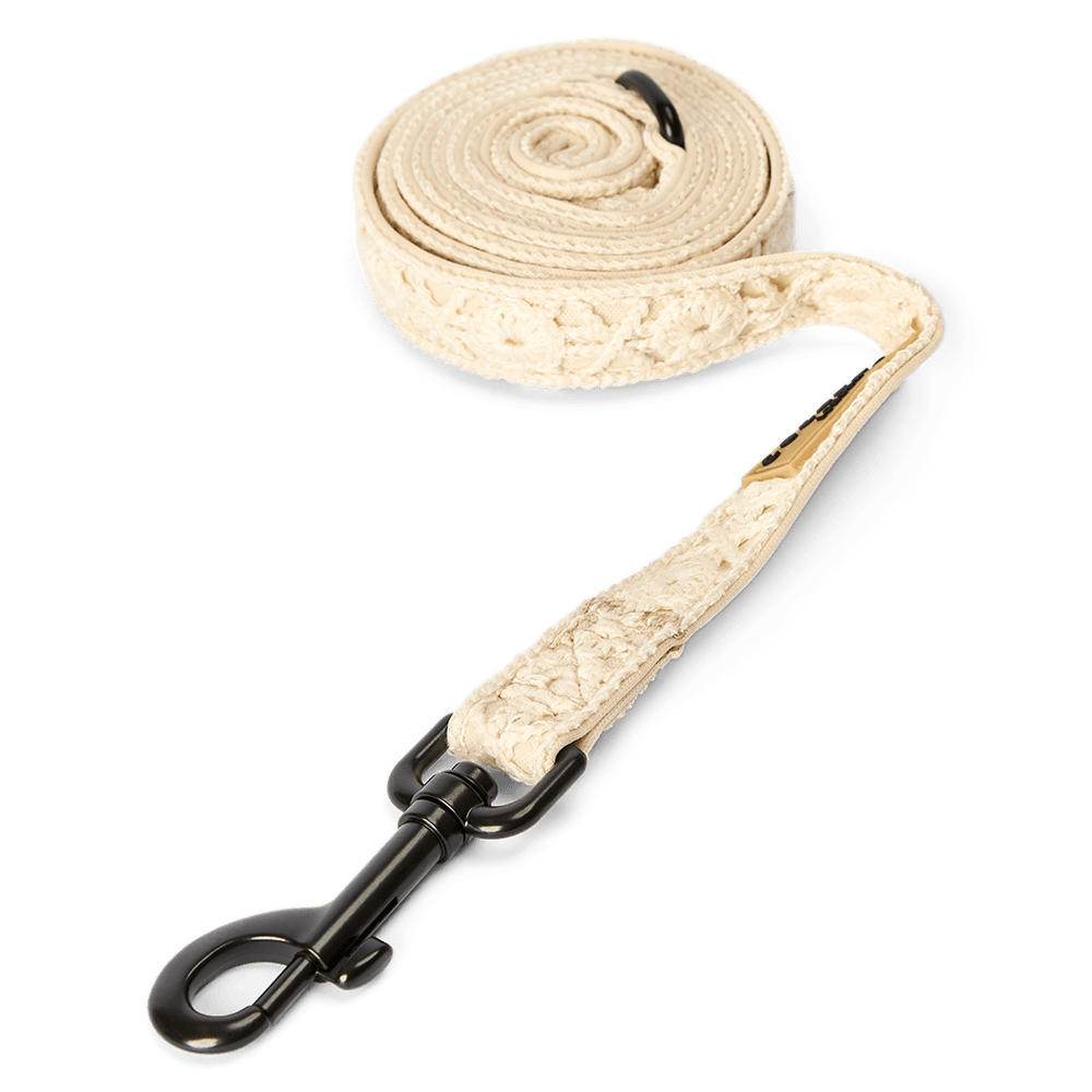 cocopup-london-dog-lead-festival-crochet