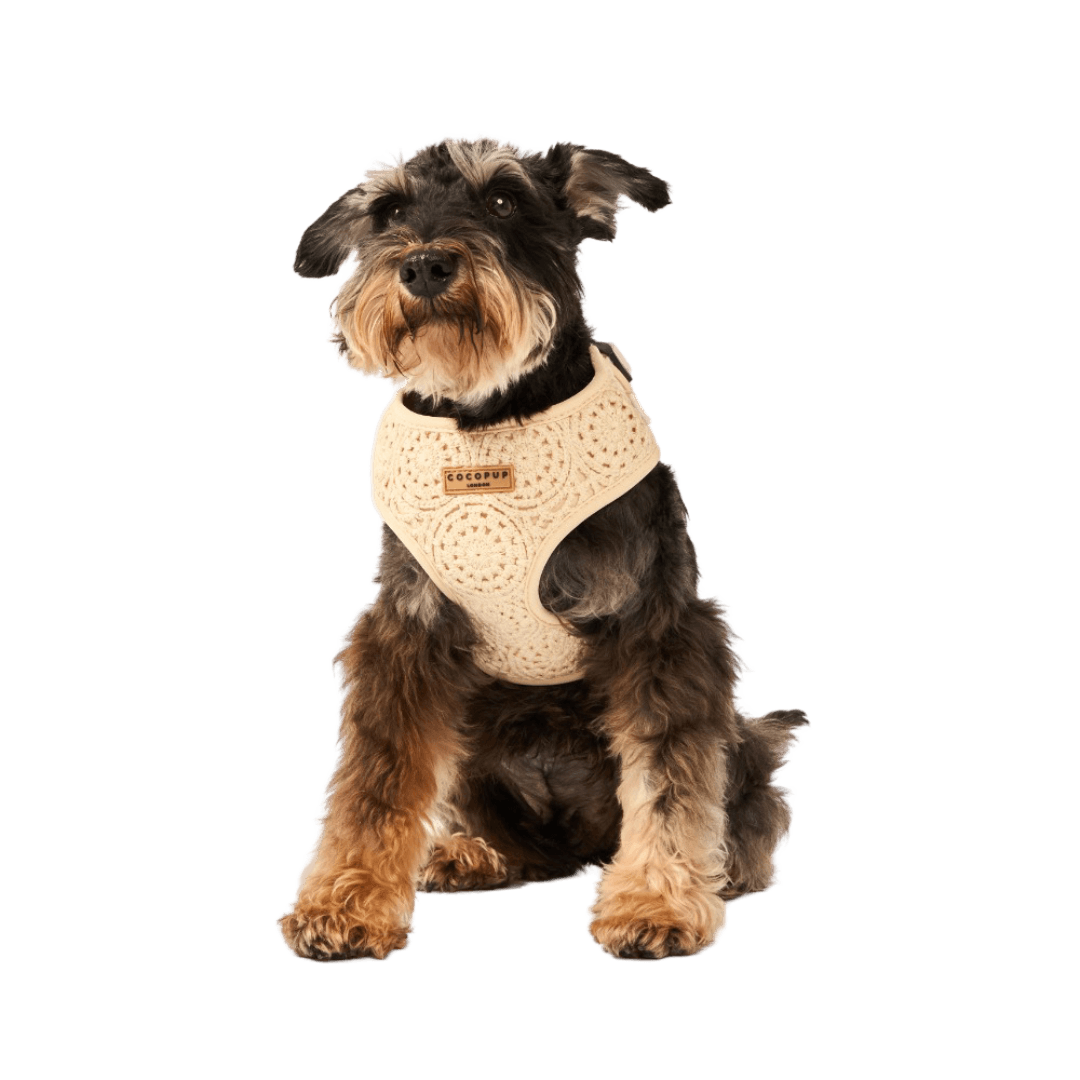Adjustable Dog Harness in Festival Crochet