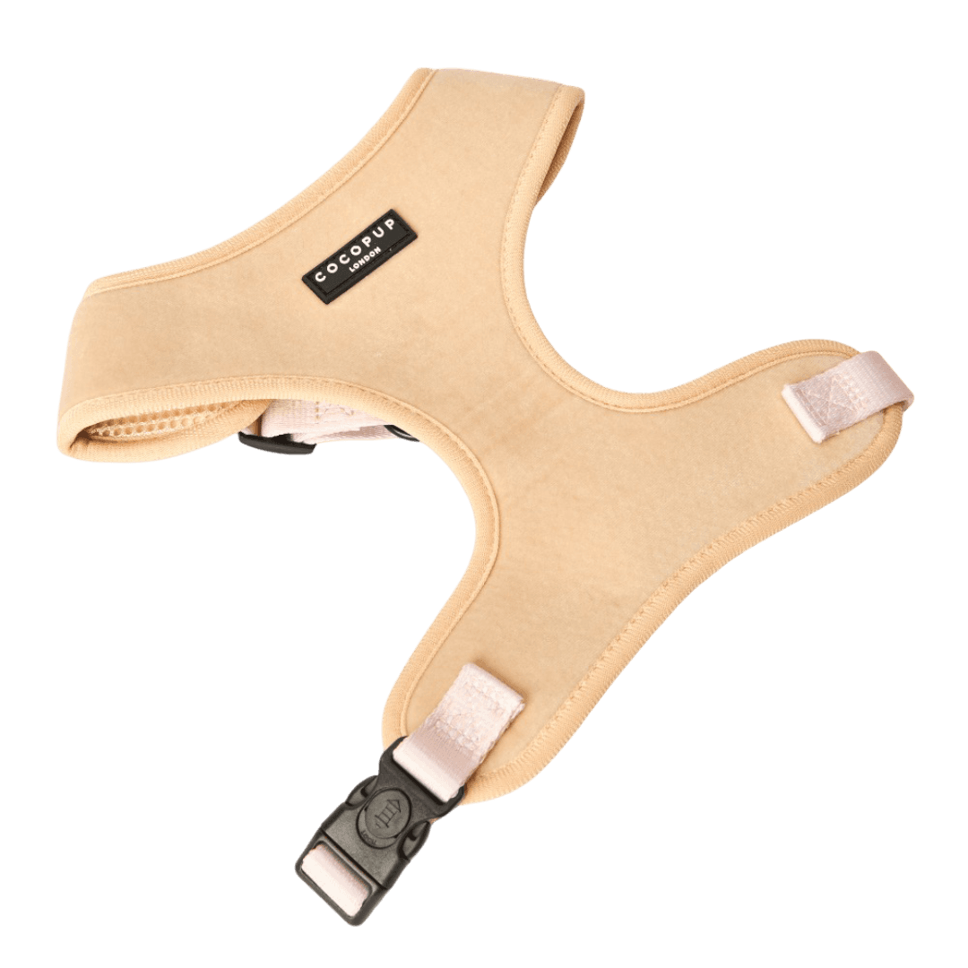 Velvet Dog Harness in Luxe Champagne