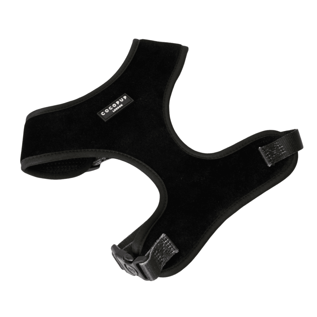 Adjustable Velvet Dog Harness in Luxe Noir Black