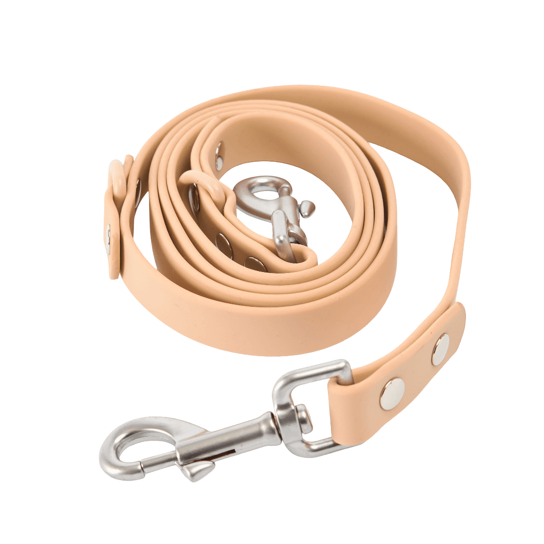 cocopup-london-dog-lead-nakd-biscuit