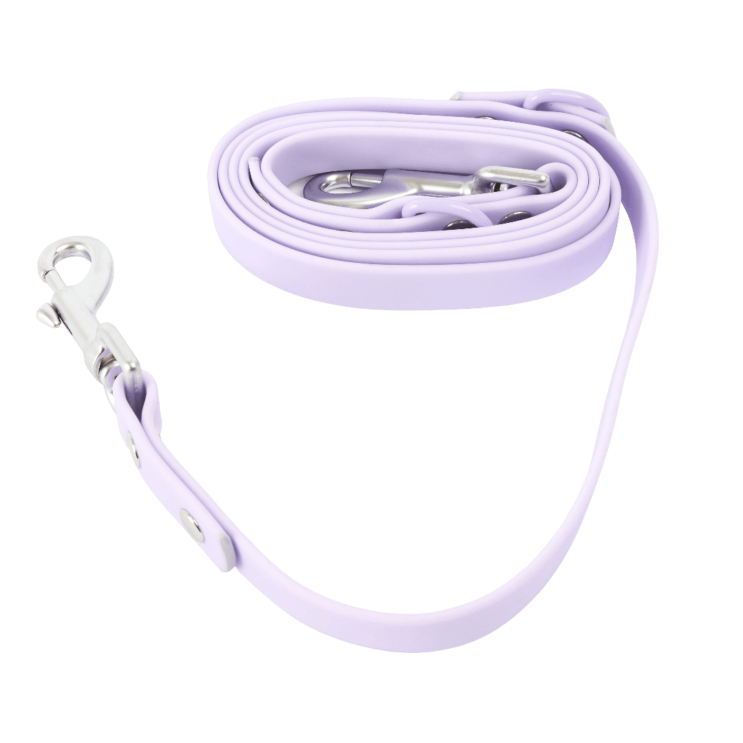 cocopup-london-dog-lead-nakd-parma-violets