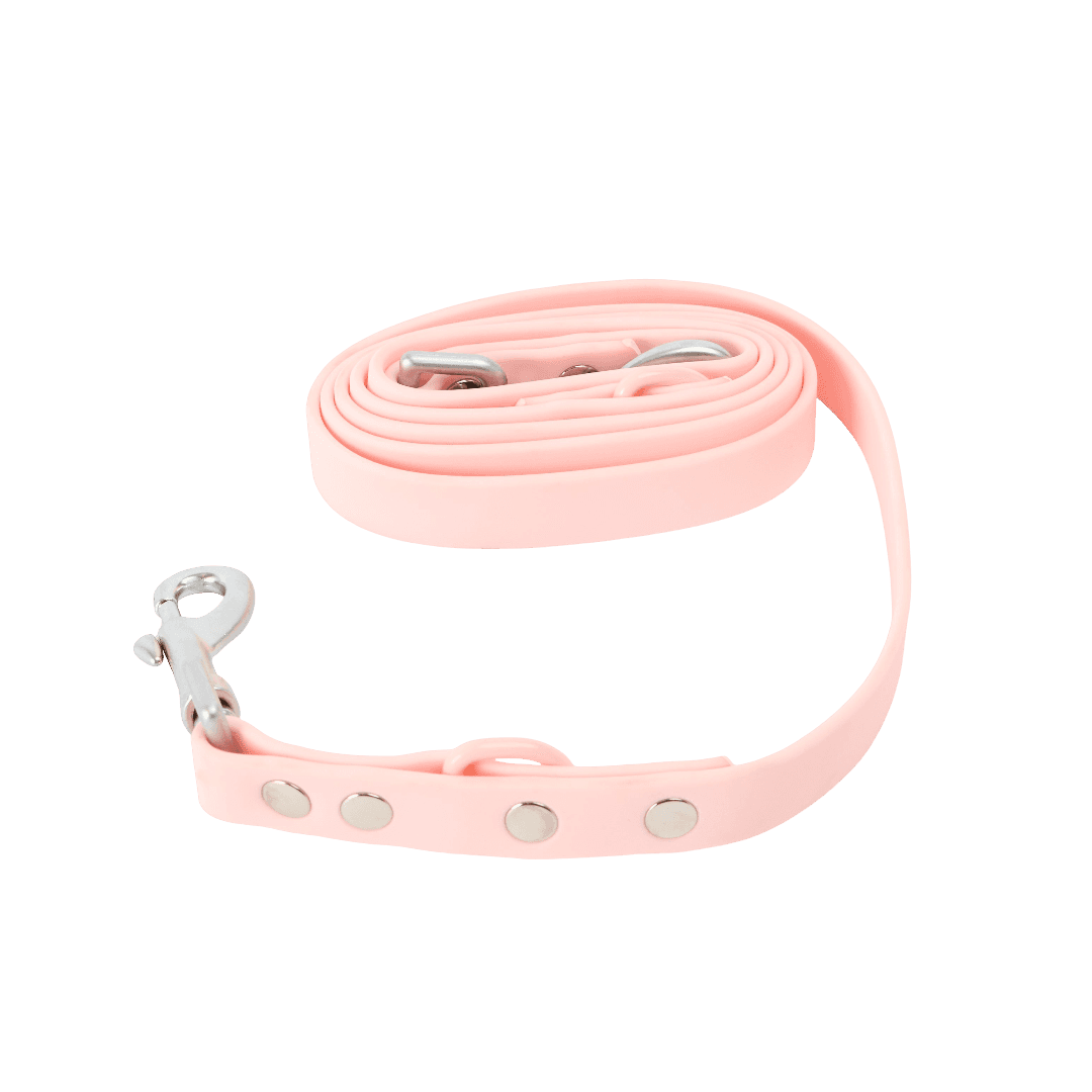 cocopup-london-dog-lead-nakd-candyfloss