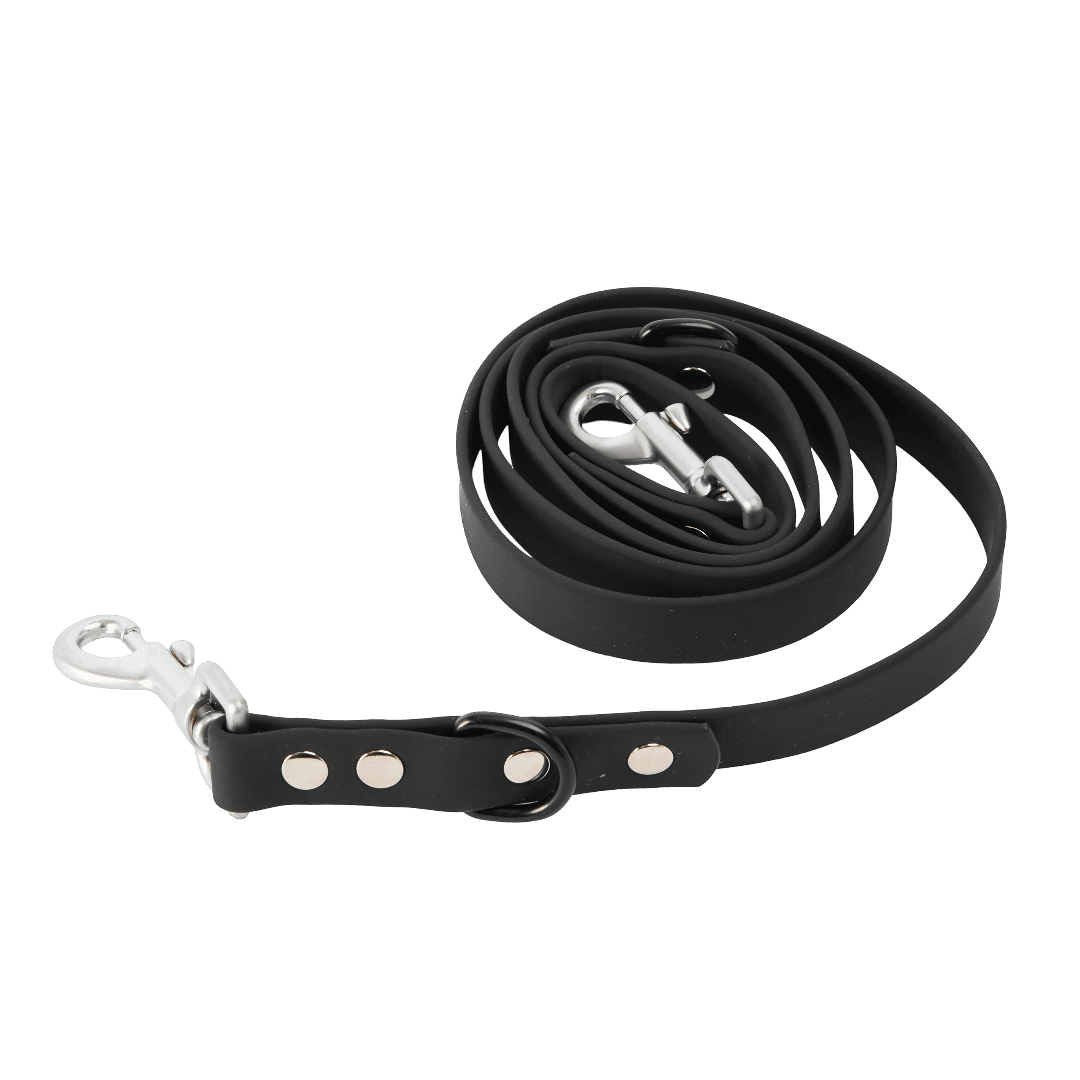 cocopup-london-dog-lead-nakd-liquorice