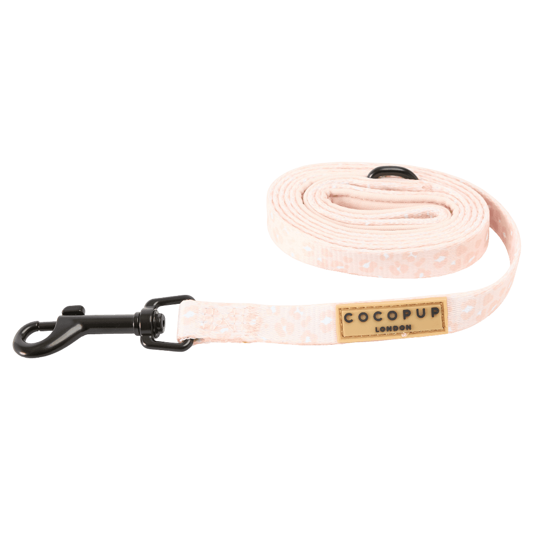 cocopup-london-puppy-lead-nude-chic-leopard
