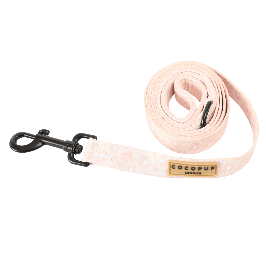 cocopup-london-dog-lead-nude-chic-leopard