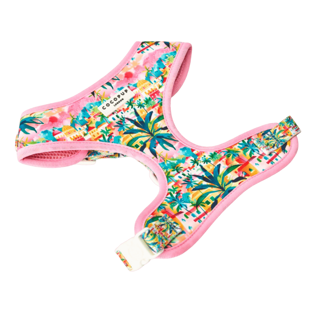 Adjustable Dog Harness in Portofino Pup Summers