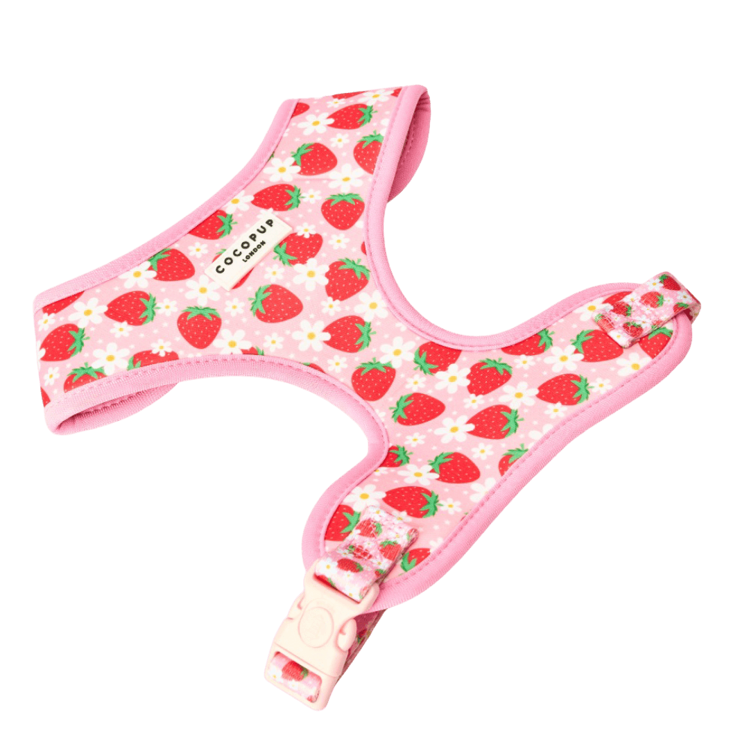 cocopup-london-adjustable-neck-dog-harness-pupberry-fields