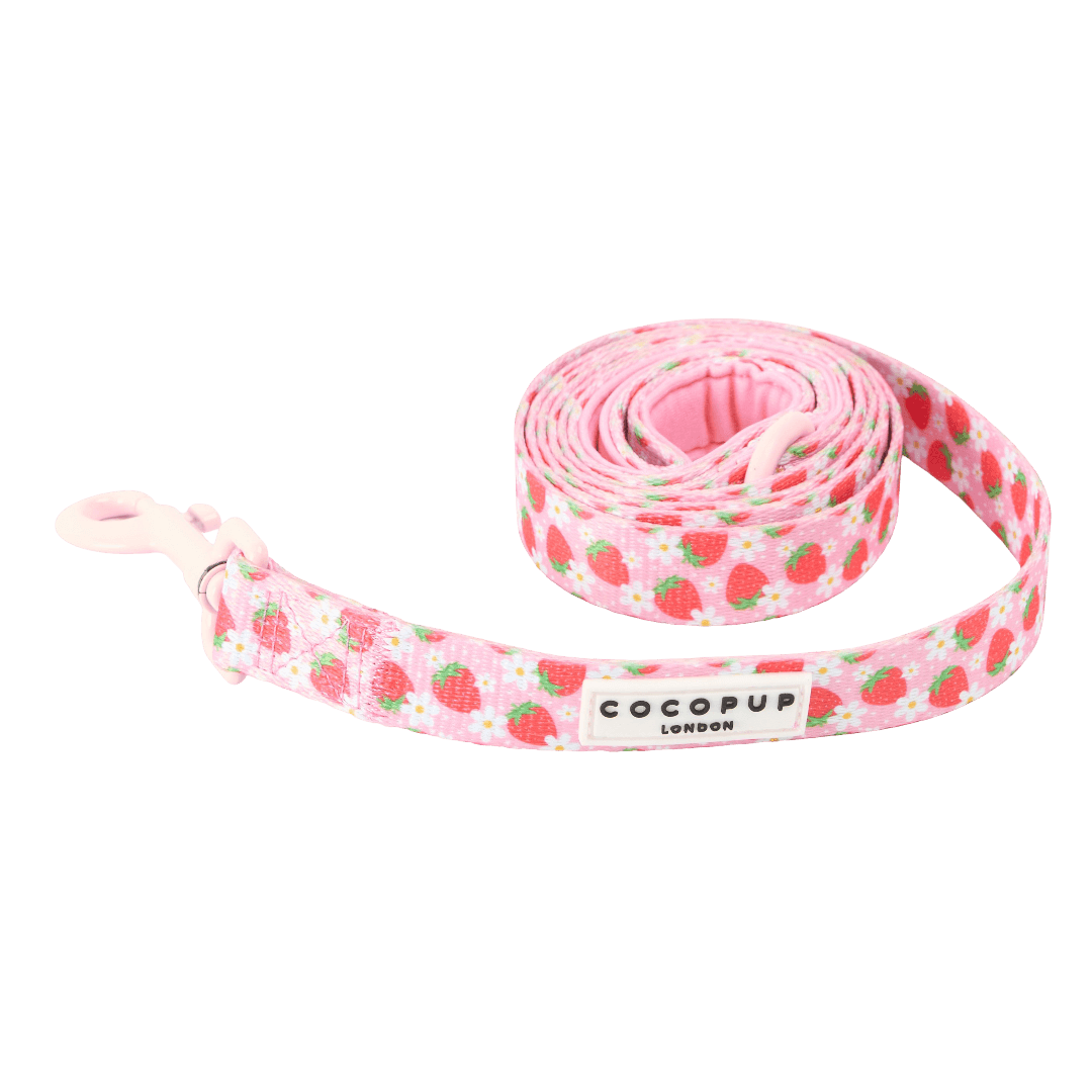 cocopup-london-dog-lead-pupberry-fields