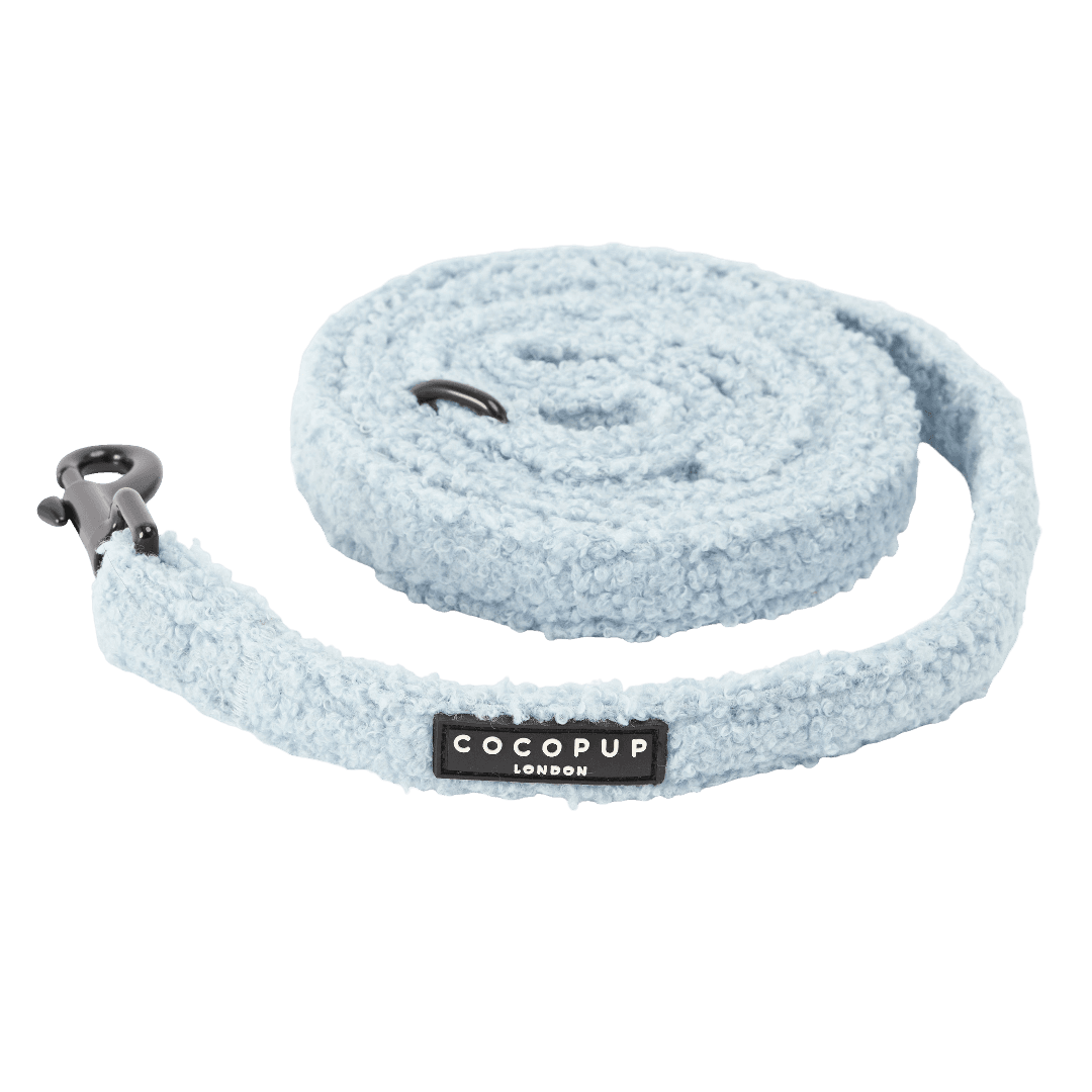 cocopup-london-dog-lead-teddy-daydream