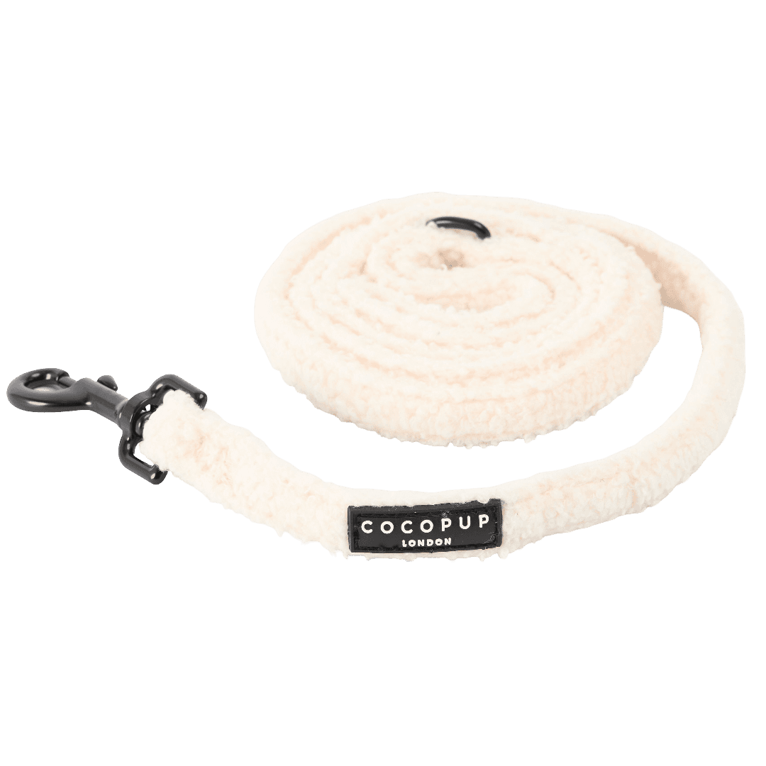 cocopup-london-puppy-lead-teddy-dolly