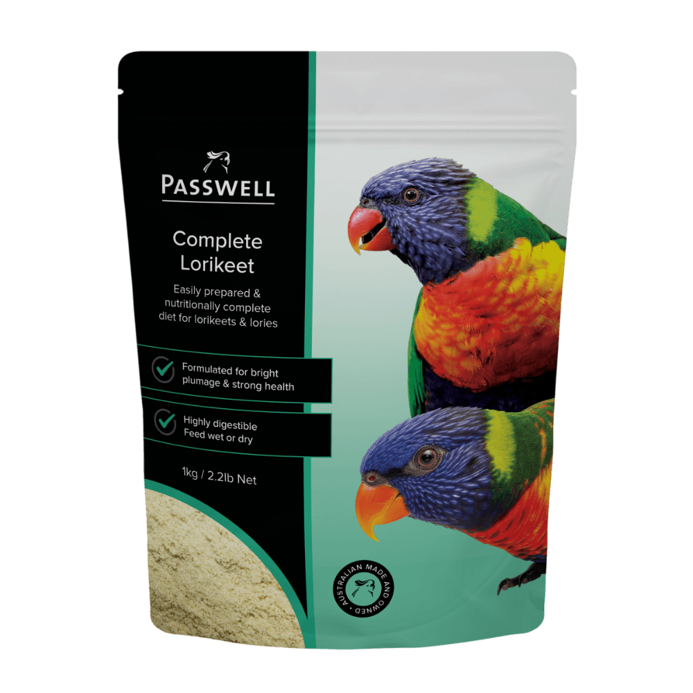 Complete Lorikeet