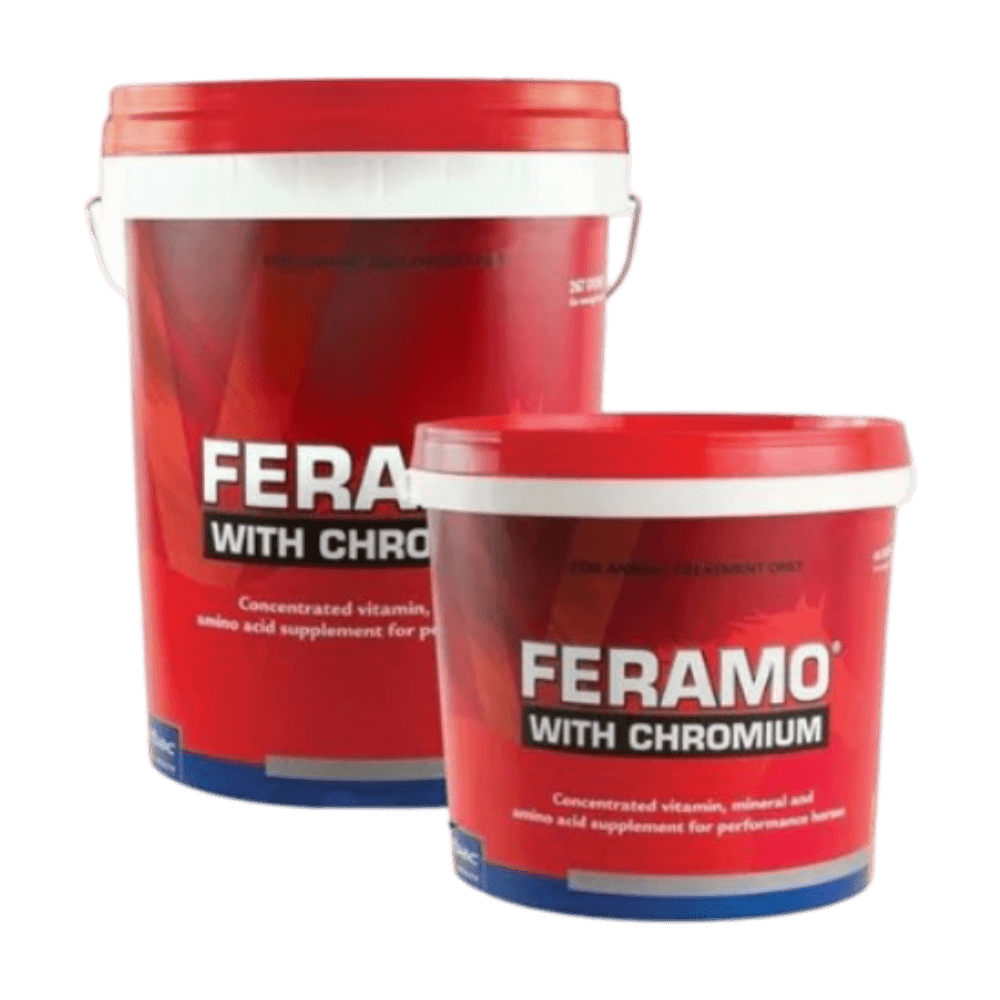 feramo-h-with-chromium-horse-supplement