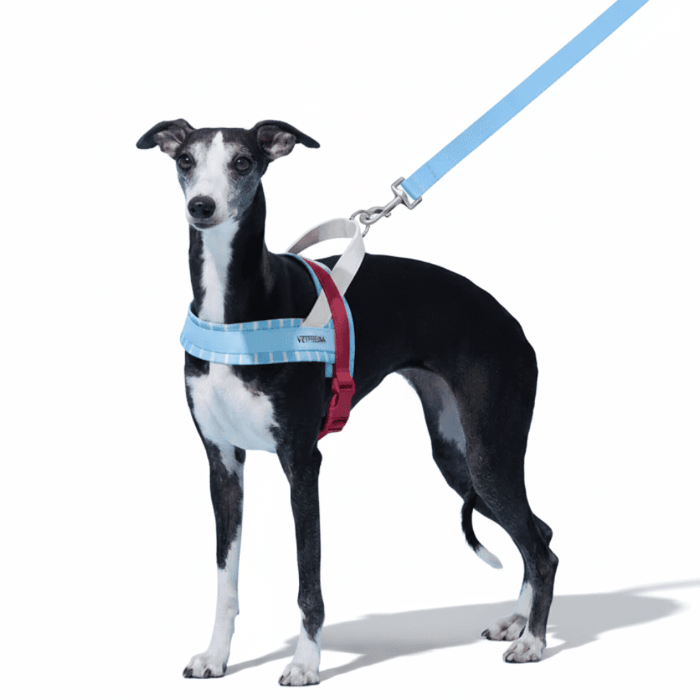 vetreska-dog-harness-and-leash-set-mist-and-merlot