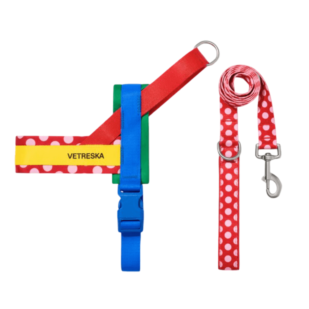 vetreska-dog-harness-and-lead-set-chroma