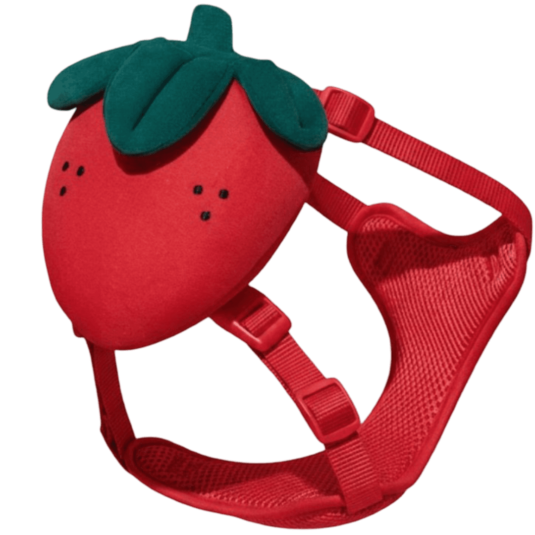 Dog Backpack Harness And Lead Set Strawberry