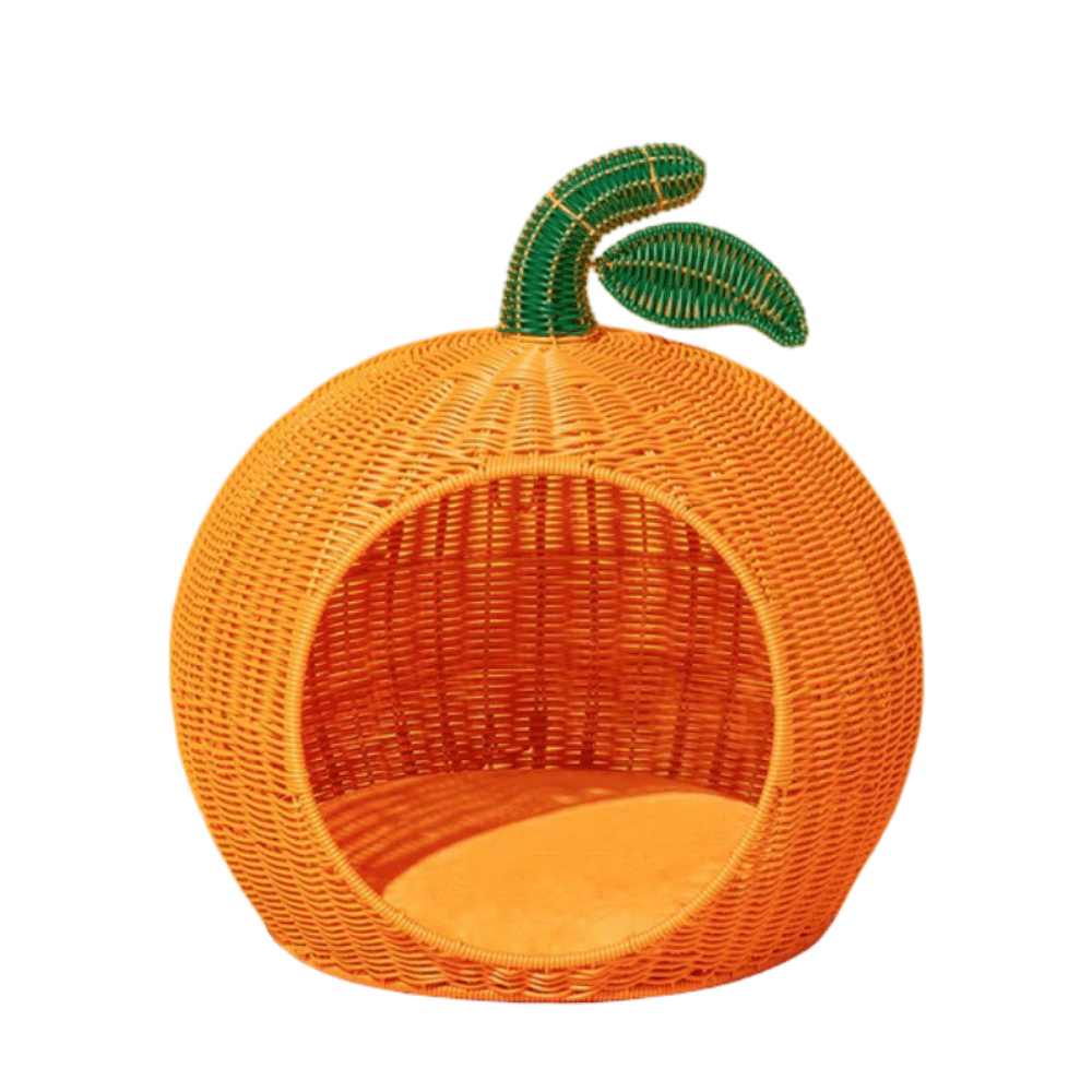 vetreska-tangerine-rattan-pet-bed