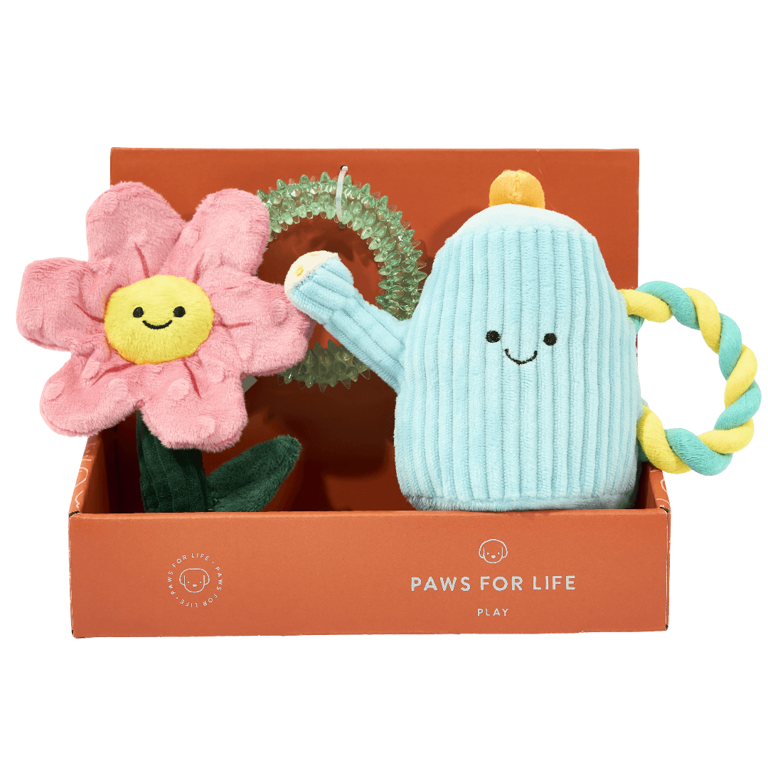 paws-for-life-3-piece-gift-set-garden-flower-party-dog-toys
