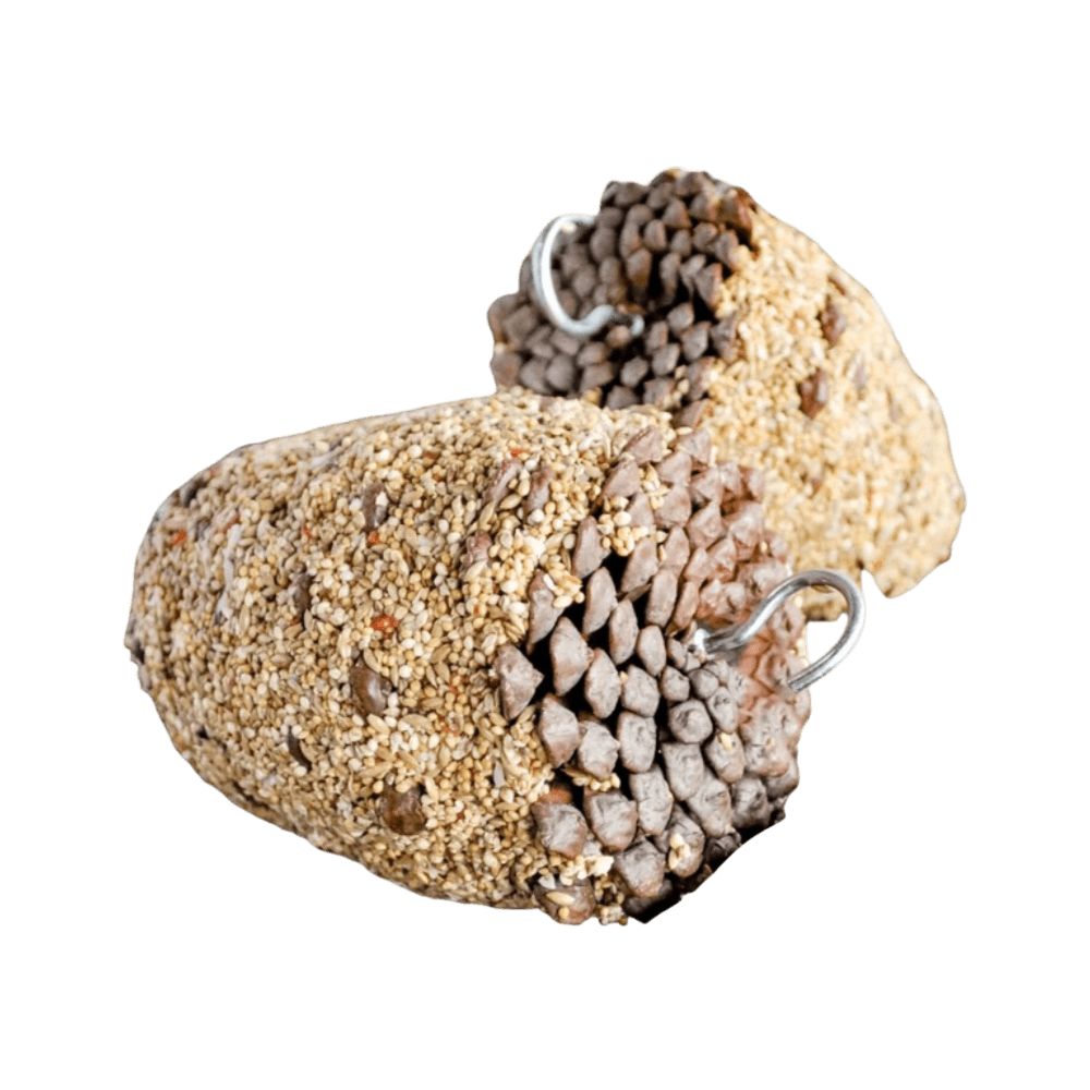 Pinecone Bird Treat