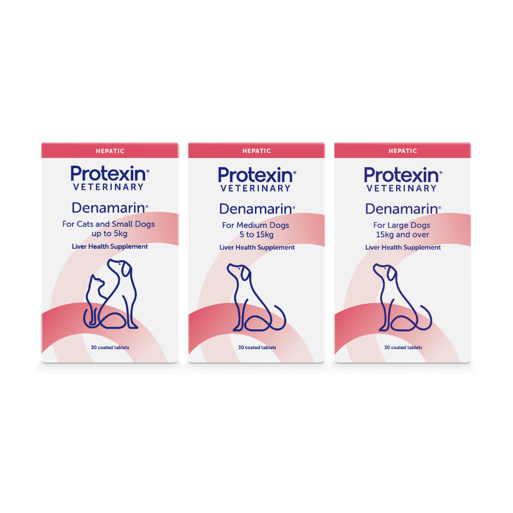 Denamarin Liver Support Small Dogs And Cats