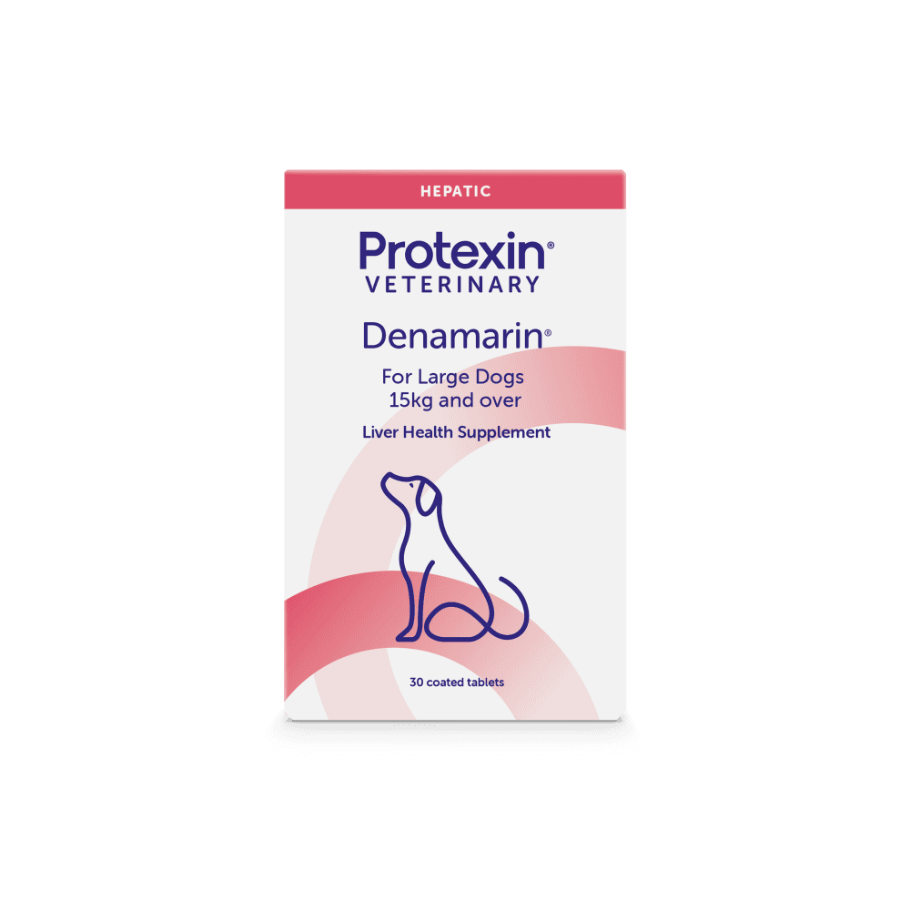 Denamarin Liver Support Large Dogs