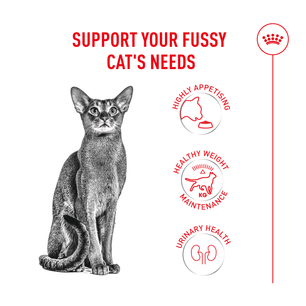 Royal Canin Exigent Adult Dry Cat Food