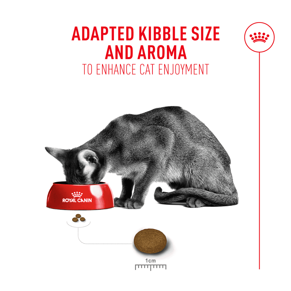 Royal Canin Exigent Adult Dry Cat Food