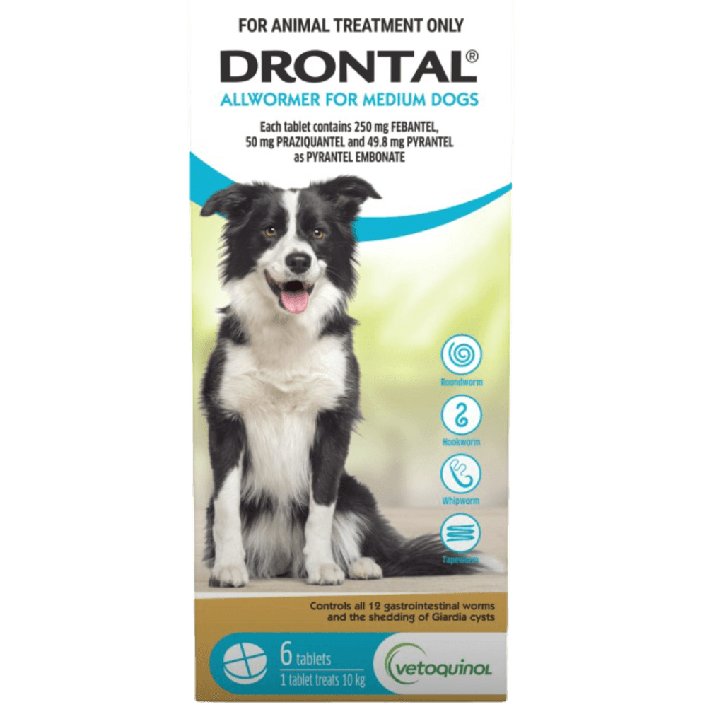 drontal-dog-allwormer-tablet-10kg