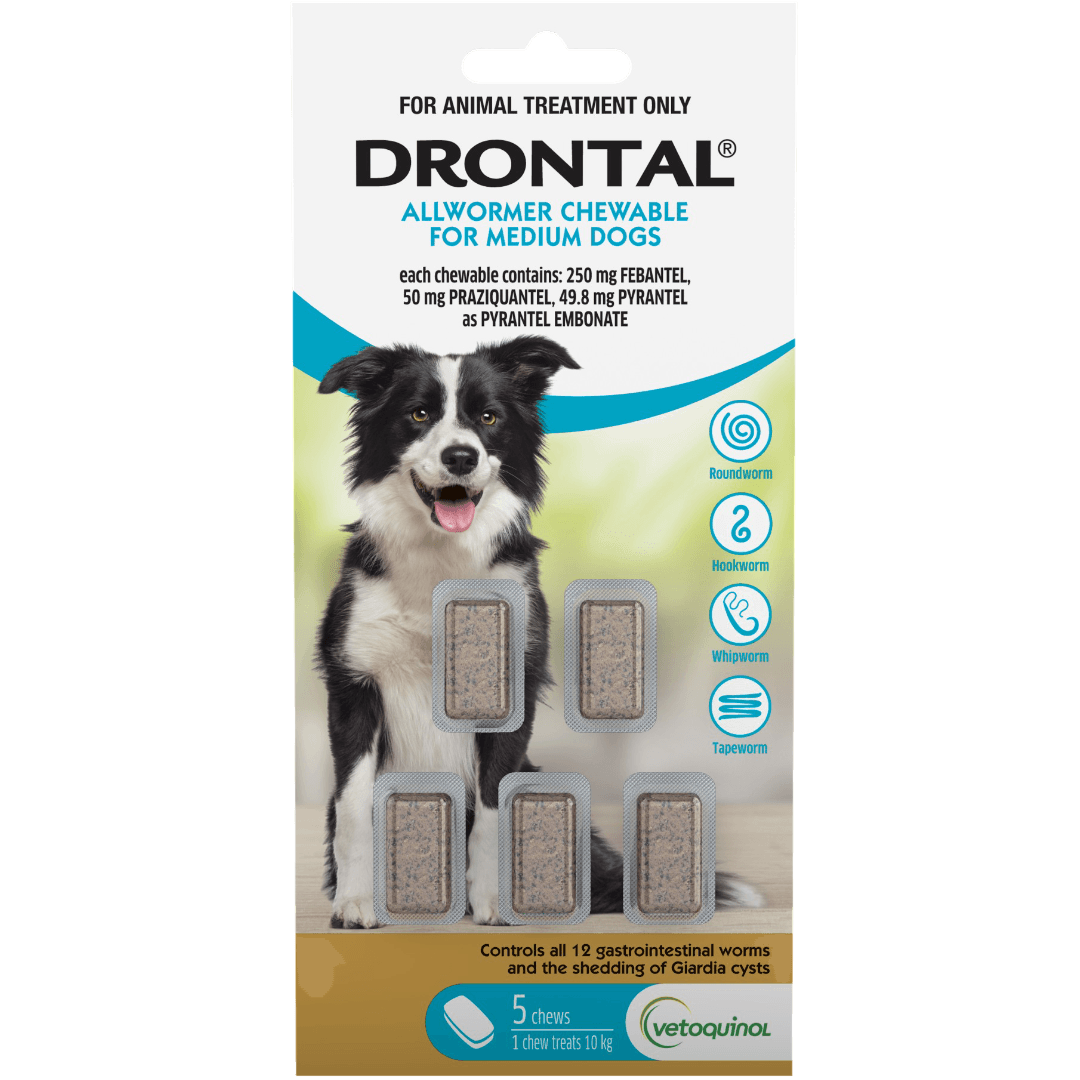 drontal-dog-allwormer-chewable-10kg