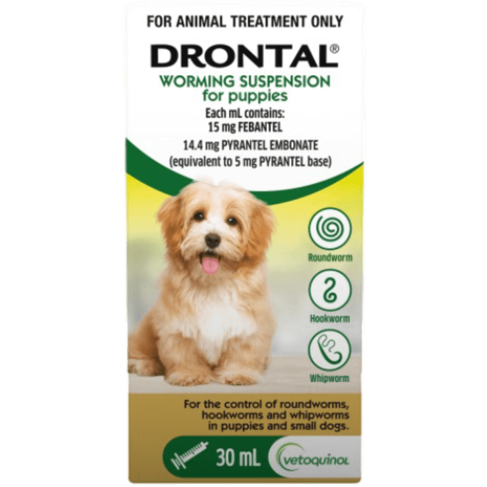 drontal-puppy-suspension