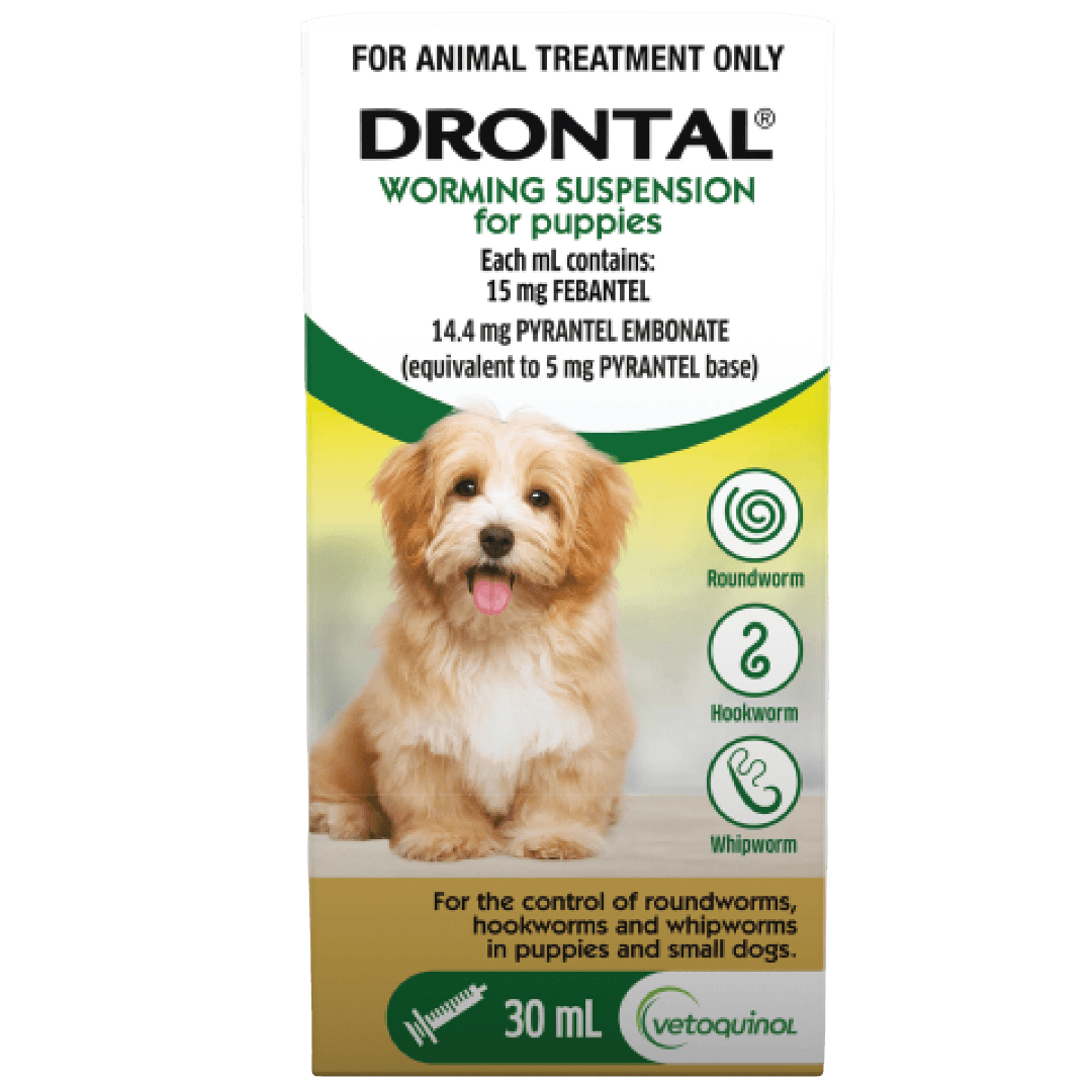 drontal-puppy-suspension