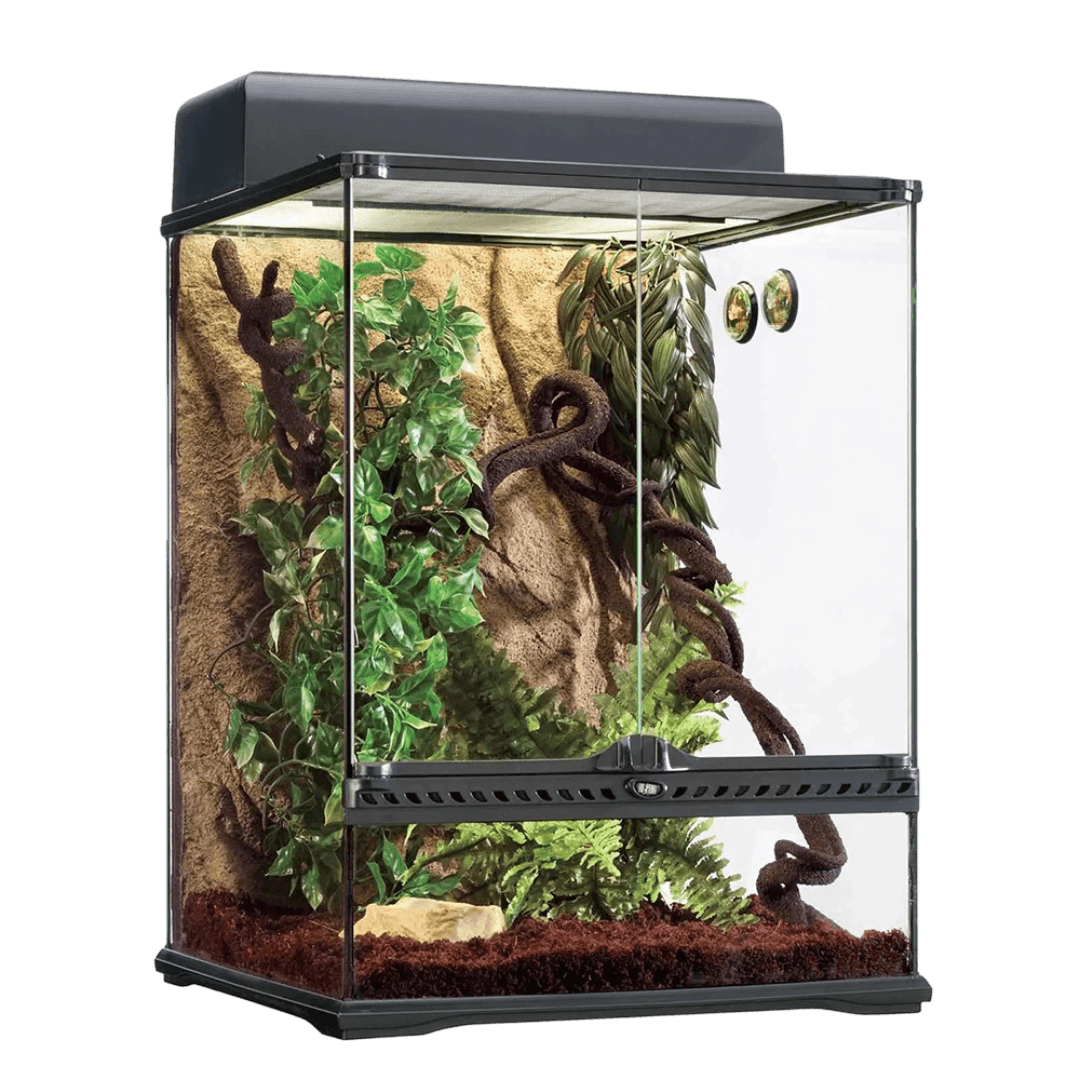 exo-terra-terrarium-rainforest-habitat-kit