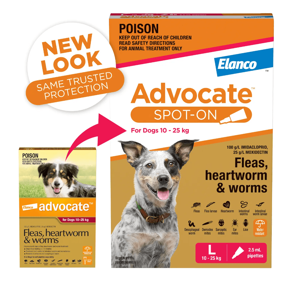 Advocate Red Flea & Worm Spot-On for Large Dogs