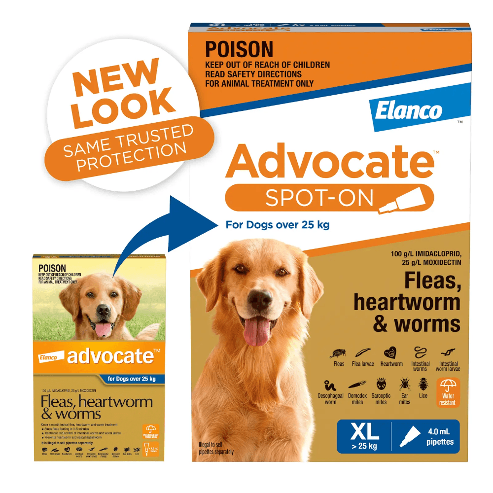 Advocate Blue Spot-On for Extra Large Dogs