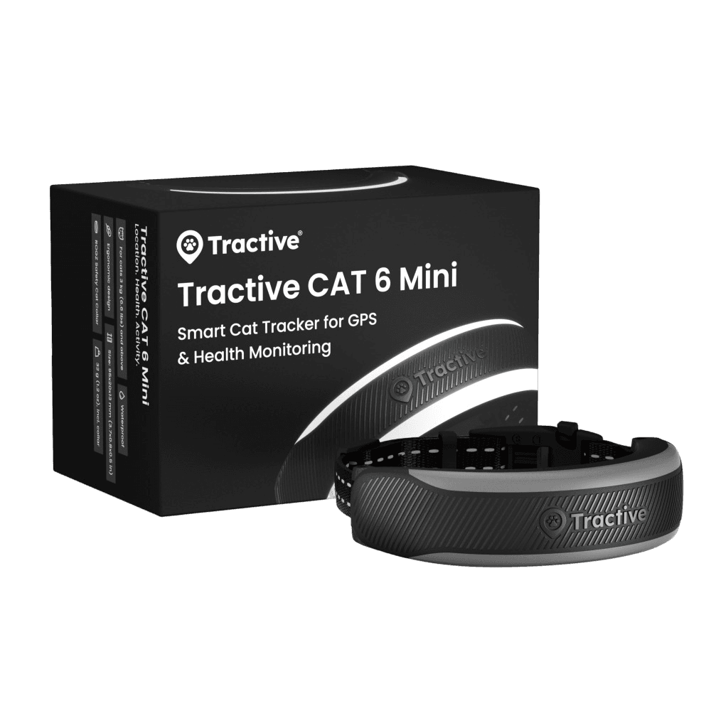 Cat 6 Mini Gps Tracker Black